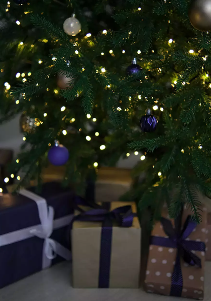 Изображение товара Ель искусственная Уральская ёлка и игрушка Восточная (250см)