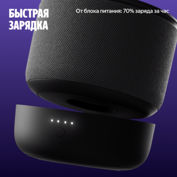 Изображение товара Портативное зарядное устройство Яндекс Для Станции Мини 3 Про YNDX-00650BLK (черный)