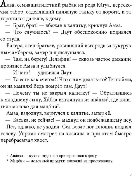 Изображение товара Художественная книга КомпасГид Брат мой Бзоу (Рудашевский Евгений 9785907957169)