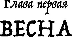 Изображение товара Художественная книга КомпасГид Брат мой Бзоу (Рудашевский Евгений 9785907957169)