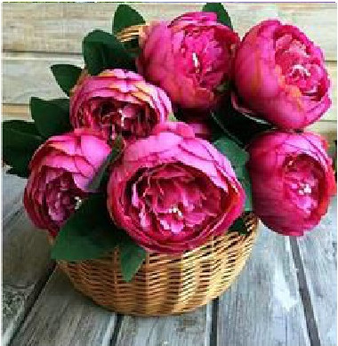 Изображение товара Набор алмазной вышивки Centrum Пионы / 87148