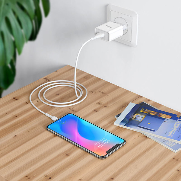 Изображение товара Зарядное устройство сетевое Hoco C81A + кабель AM-microBM (1м, белый)