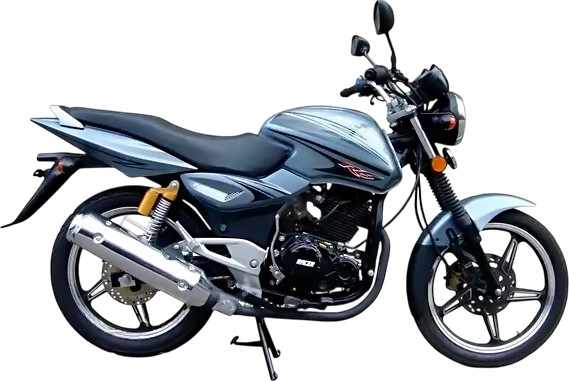 Изображение товара Мотоцикл Racer Magnum RC200-C5B (серый)