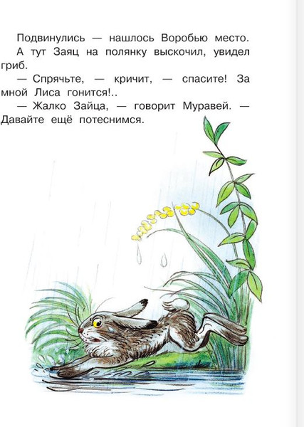 Изображение товара Книга АСТ Кто сказал мяу? Сказки, твердая обложка (Сутеев Владимир)