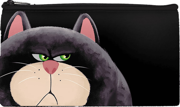 Изображение товара Пенал Centrum Недовольный кот / 75682