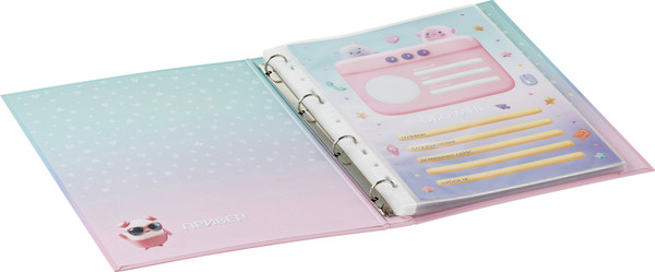 Изображение товара Папка адресная BG Портфолио для школьницы / 368049