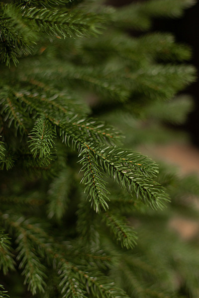 Изображение товара Ель искусственная Ёлушка Уральская / ЕУРАЛ 24 (2.4, подставка металл)