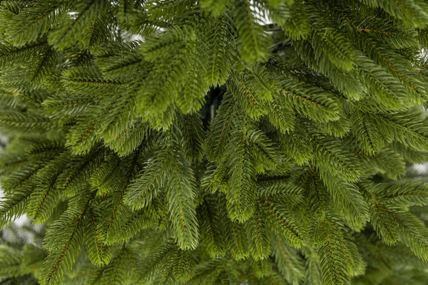 Изображение товара Ель искусственная Ёлушка Литая Люблинская / ЕЛБЛ 20 (2м)