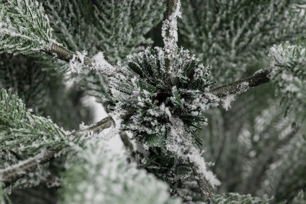 Изображение товара Ель искусственная Ёлушка Уральская заснеженная / ЕУРАЛЗ 21 (2.1м, подставка пластик)