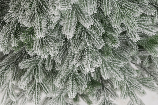 Изображение товара Ель искусственная Ёлушка Уральская заснеженная / ЕУРАЛЗ 21 (2.1м, подставка пластик)