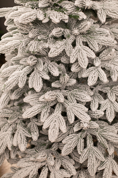 Изображение товара Ель искусственная Ёлушка Донская заснеженная / ЕДОНЗ 15 (1.5м, подставка пластик)