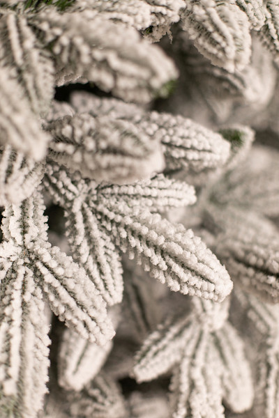 Изображение товара Ель искусственная Ёлушка Донская заснеженная / ЕДОНЗ 15 (1.5м, подставка пластик)