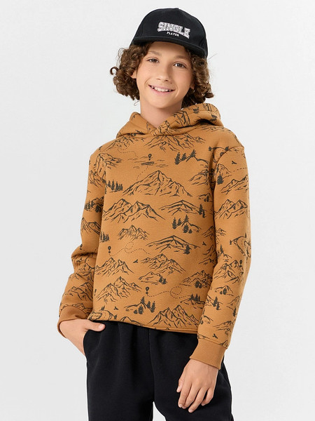 Изображение товара Худи детское Mark Formelle 123388 (р.122-60, горы на цвете орех)