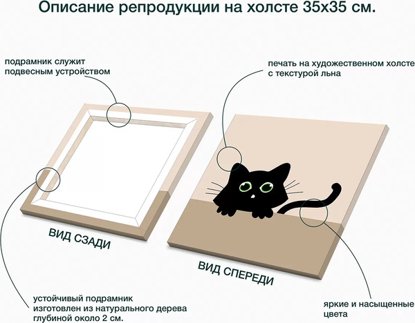 Изображение товара Картина Stamprint Кот 1 / CD004 (35х35см)