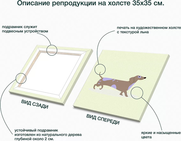 Изображение товара Картина Stamprint Такса 1 / CD008 (35х35см)