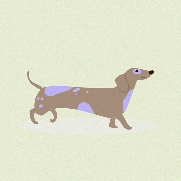 Изображение товара Картина Stamprint Такса 1 / CD008 (35х35см)