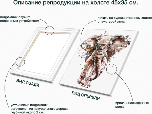Изображение товара Картина Stamprint Слон / CD010 (45х35см)