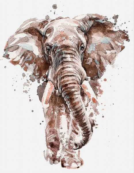 Изображение товара Картина Stamprint Слон / CD010 (45х35см)