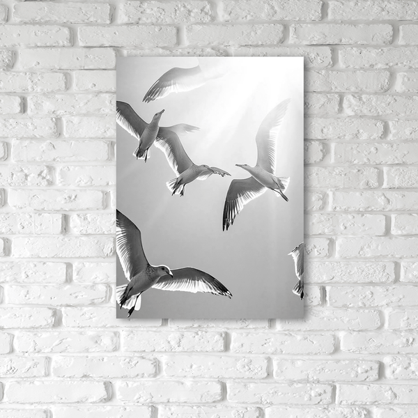 Изображение товара Картина на стекле Stamprint Чайки AN026 (70х50см)