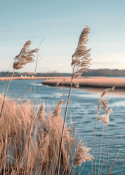 Изображение товара Картина на стекле Stamprint Вода и камыш SP035 (70х50см)