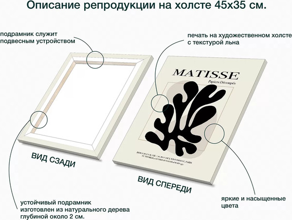 Изображение товара Картина Stamprint Монстера 1 / АТ058 (45х35см)