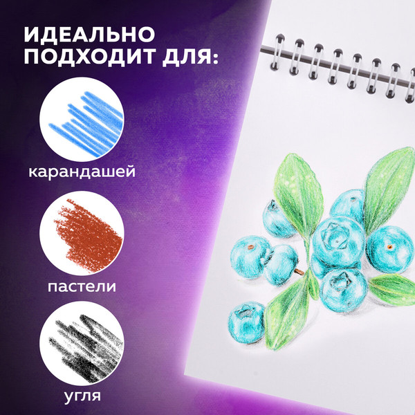 Изображение товара Скетчбук Brauberg Art Debut / 110997 (белая бумага)