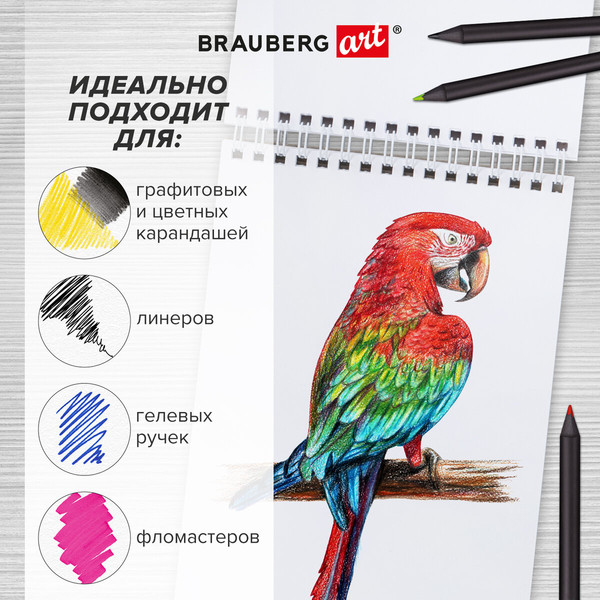 Изображение товара Скетчбук Brauberg Art Debut. Порисуем / 115063 (белая бумага)