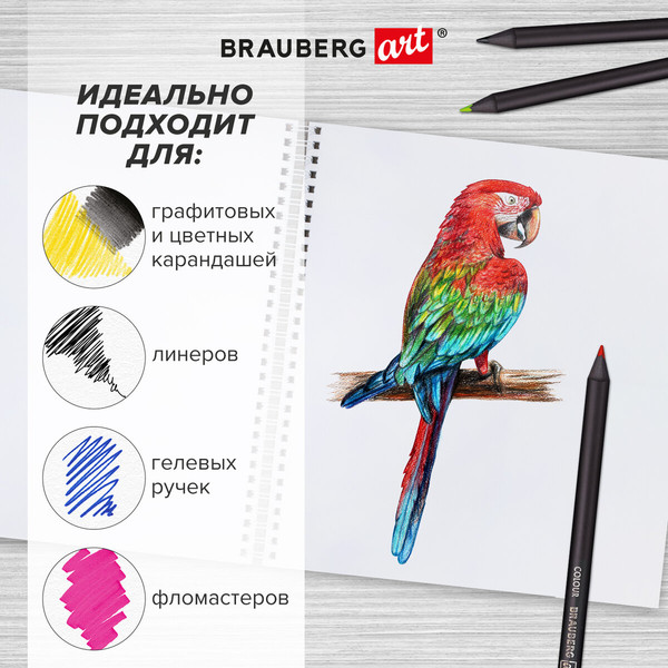 Изображение товара Скетчбук Brauberg Art Classic / 116366 (белая бумага)