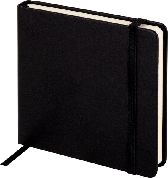 Изображение товара Скетчбук Brauberg Art Classic / 116872 (черный, слоновая кость/белый)