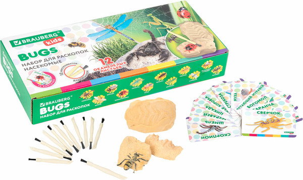 Изображение товара Набор для опытов Brauberg Kids. Раскопки. Насекомые / 665127