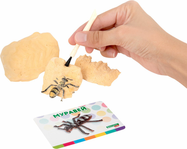 Изображение товара Набор для опытов Brauberg Kids. Раскопки. Насекомые / 665127
