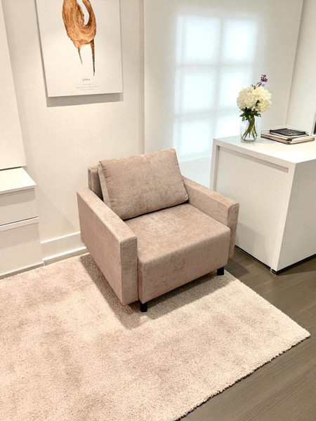 Изображение товара Кресло-кровать Домовой Визит-3 1 (80)-Ш (JH3565-6)