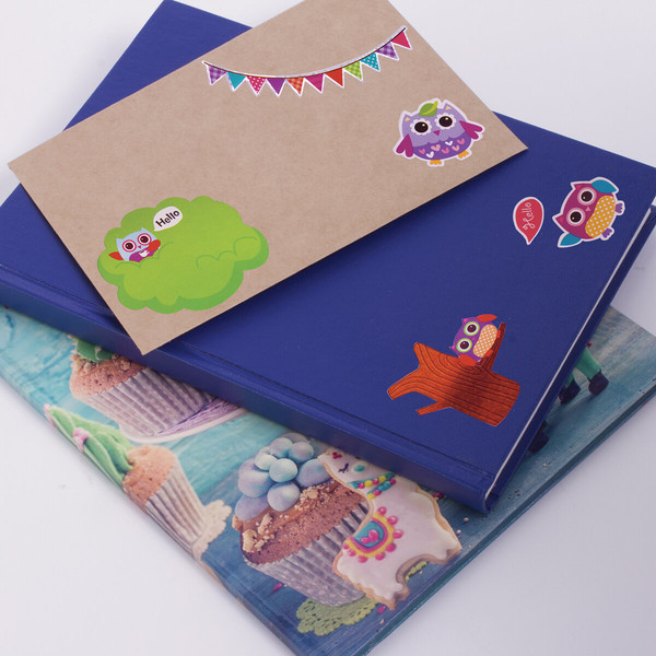 Изображение товара Набор наклеек Юнландия Совята / 662696