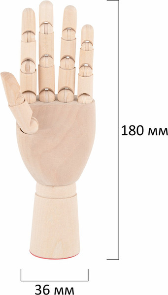 Изображение товара Манекен художественный Brauberg Art Classic Левая рука / 192516