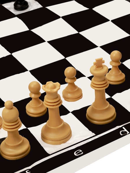 Изображение товара Шахматы Sima-Land 10643396