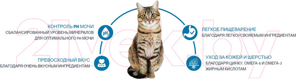 Изображение товара Сухой корм для кошек Advance Adult с курицей и рисом (15кг)