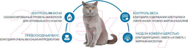 Изображение товара Сухой корм для кошек Advance Sterilized с индейкой (3кг)