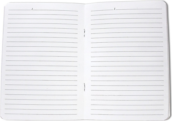 Изображение товара Ежедневник MyArt Чихуа / Б40-6986