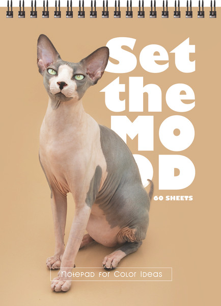 Изображение товара Блокнот BG Создай настроение / Б5гр60 12151 (60л)