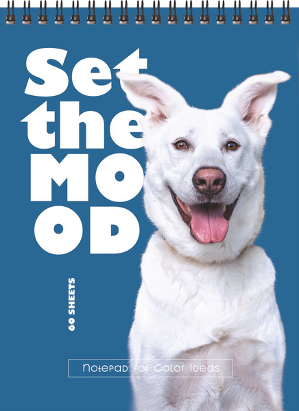 Изображение товара Блокнот BG Создай настроение / Б5гр60 12151 (60л)