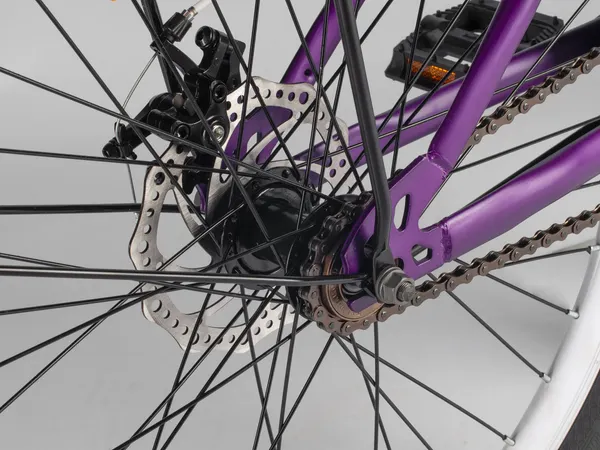 Изображение товара Велосипед Sitis Any Regit 1SP 26 2025 (15, Dark Purple/Turquoise/White)