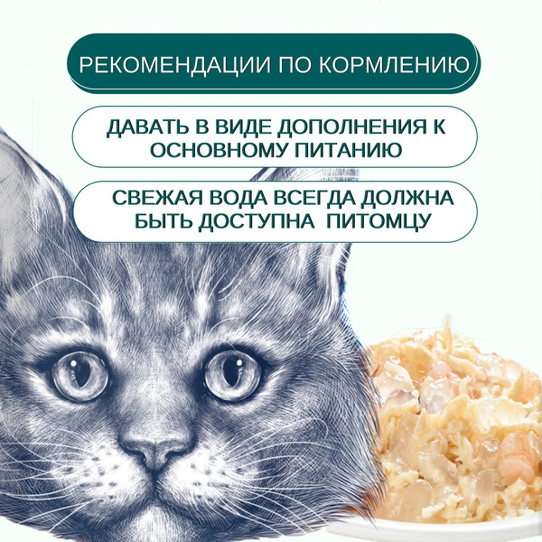 Изображение товара Влажный корм для кошек Wanpy Cat Кусочки курицы и гребешки (85г)