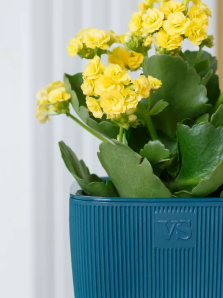 Изображение товара Кашпо VipSet Фабио с дренажной системой (1.95л, синий)