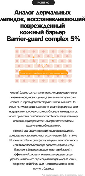 Изображение товара Крем для лица Derma Factory Vitamin E Vital Антиоксидантный (50мл)