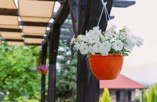 Изображение товара Кашпо Santino Лилия (1.5л, терракотовый)