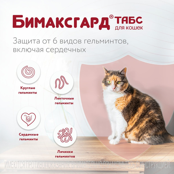 Изображение товара Таблетки от глистов Бимаксгард Табс Для котят и маленьких кошек (2 таблетки)