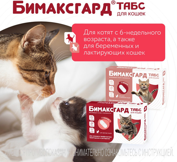 Изображение товара Таблетки от глистов Бимаксгард Табс Для котят и маленьких кошек (2 таблетки)