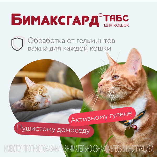 Изображение товара Таблетки от глистов Бимаксгард Табс Для крупных кошек (2 таблетки)