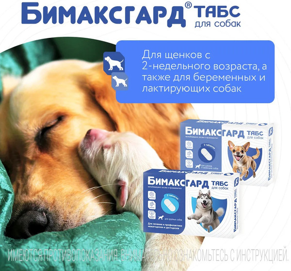 Изображение товара Таблетки от глистов Бимаксгард Табс Для щенков и маленьких собак (2 таблетки)