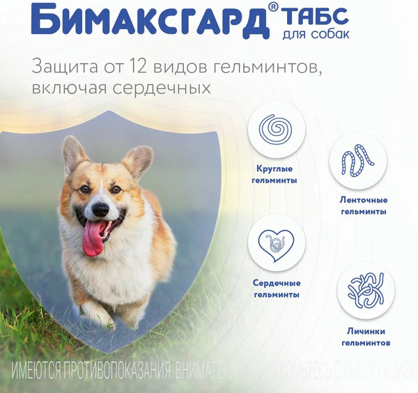 Изображение товара Таблетки от глистов Бимаксгард Табс Для щенков и маленьких собак (2 таблетки)